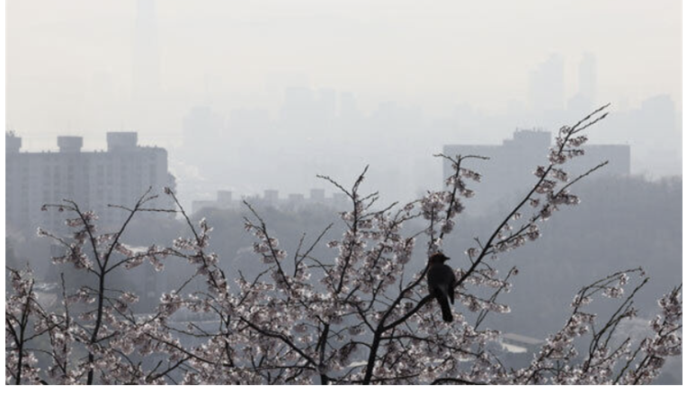 미세먼지